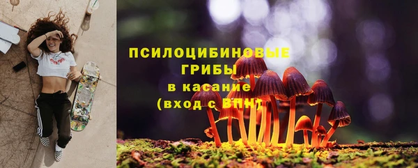 молекула духа Балабаново