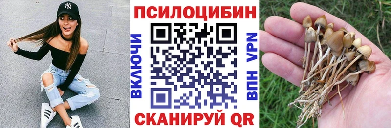 Галлюциногенные грибы Cubensis  Зуевка 